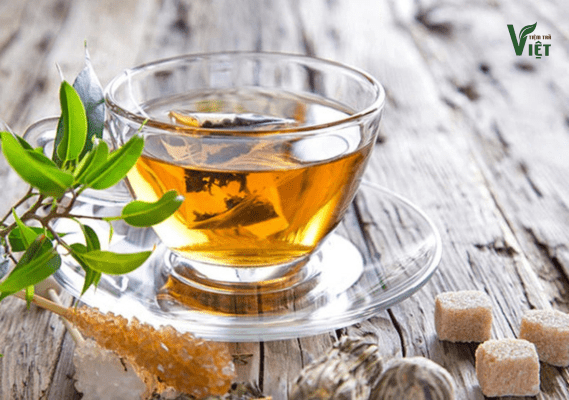 Trà Đinh Lăng Lợi Sữa Là Gì?