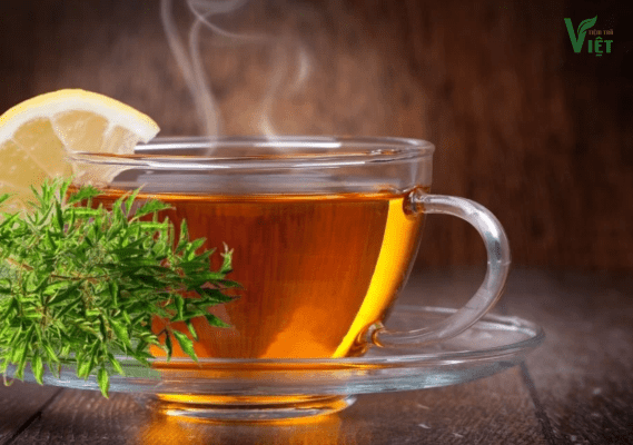 Lưu Ý Khi Sử Dụng Trà Đinh Lăng Lợi Sữa