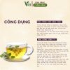 Công dụng trà đông trùng đinh lăng