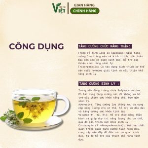 Công dụng trà đông trùng đinh lăng