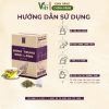 Hướng dẫn sử dụng trà đông trùng đinh lăng