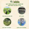 Quy trình sản xuất Tiệm Trà Việt