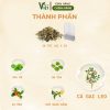 Thành phần trà cà gai leo rau má