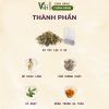 Thành phần trà đông trùng đinh lăng