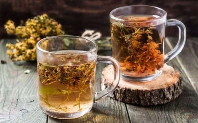 Trà cà gai leo rau má là sản phẩm chăm sóc sức khỏe đặc biệt, có những công dụng quan trọng