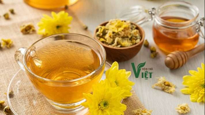Trà thảo dược hoa cúc chi