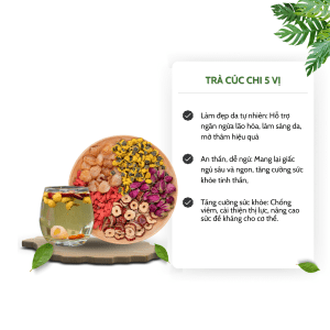 công dụng trà cúc chi tiệm trà việt