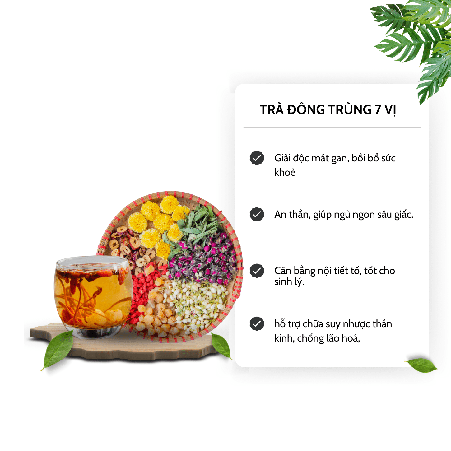 Công dụng trà đông trùng 7 vị