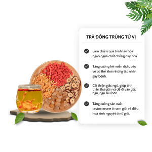 công dụng trà đông trùng tứ vị tiệm trà việt