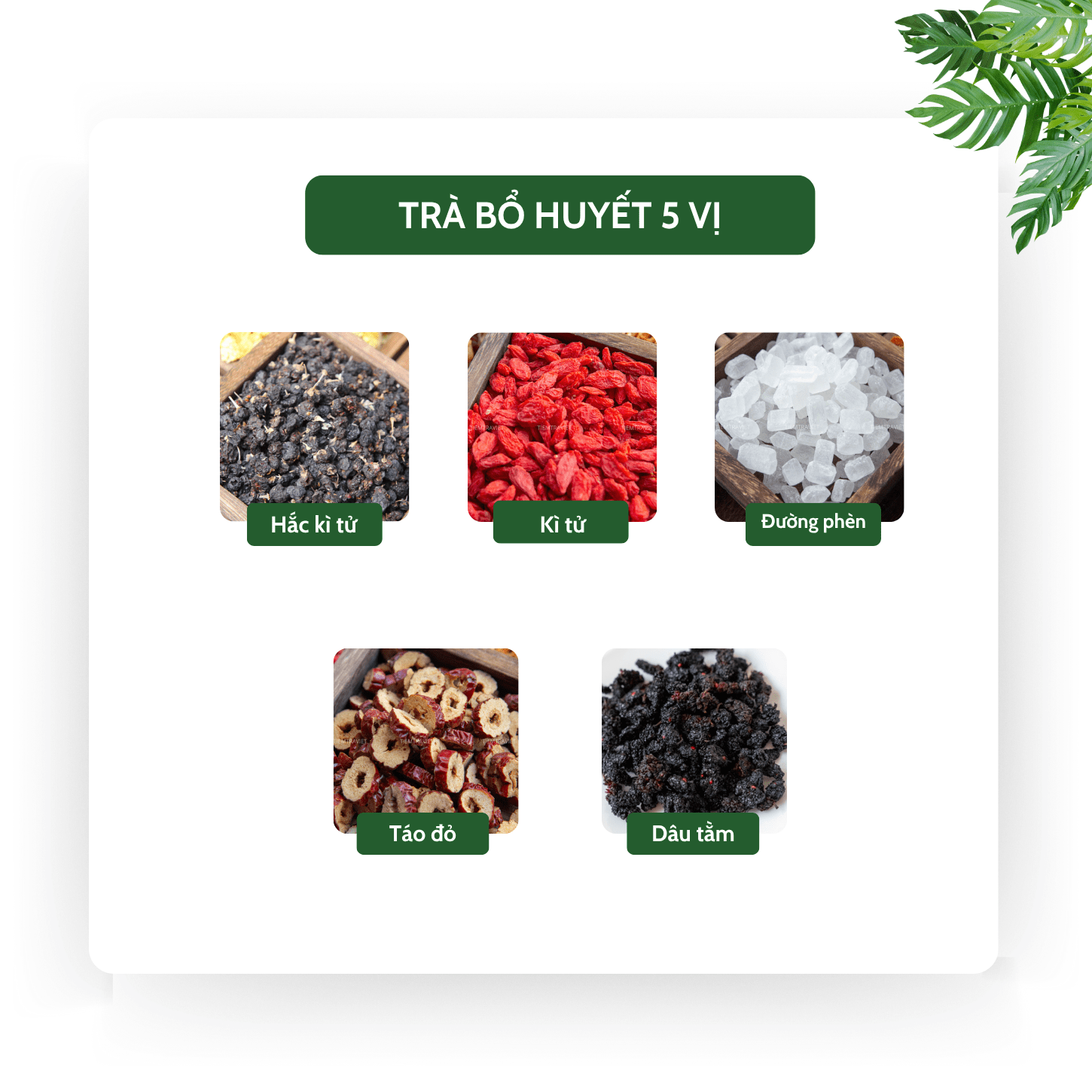 thành phần trà bổ huyết tiệm trà việt