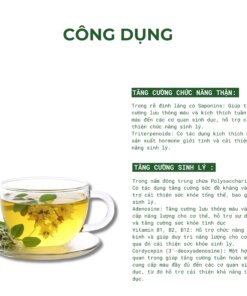 công dụng trà đông trùng đinh lăng