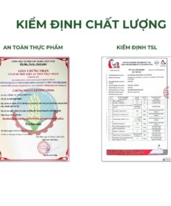 kiểm định trà đông trùng đinh lăng