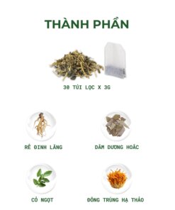 Thành phần trà đông trùng đinh lăng