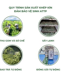 Đông trùng đinh lăng