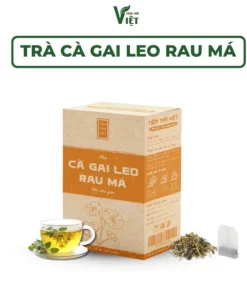 Cà gai leo rau má