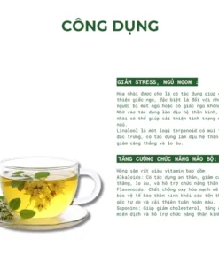 công dụng trà sâm hoa nhài