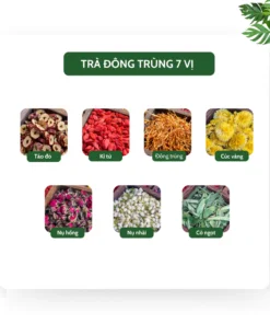 Đông trùng 4 vị