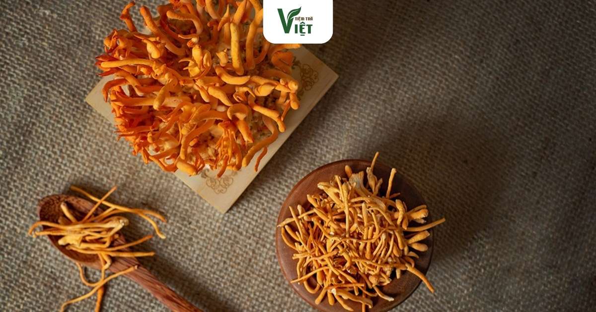 Đông trùng hạ thảo