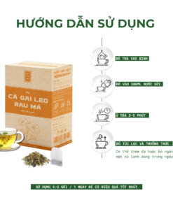 HDSD cà gai leo rau má