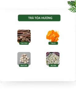 Thành phần trà tỏa hương