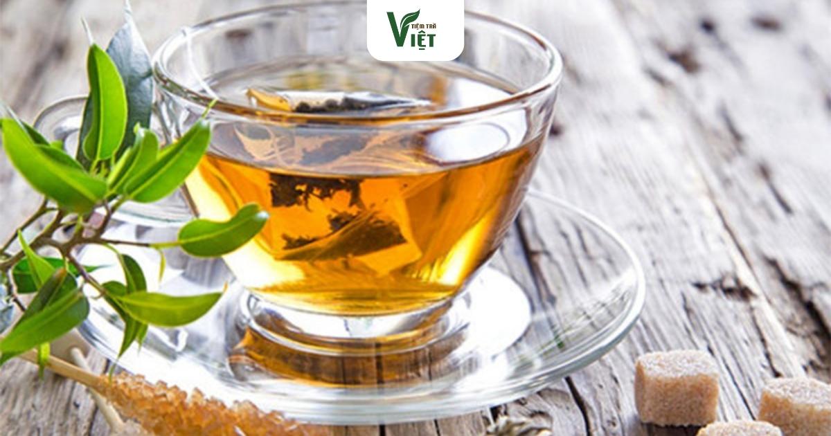 Trà đinh lăng lợi sữa