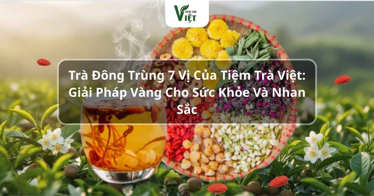Trà đông trùng 7 vị giải pháp cho sức khỏe